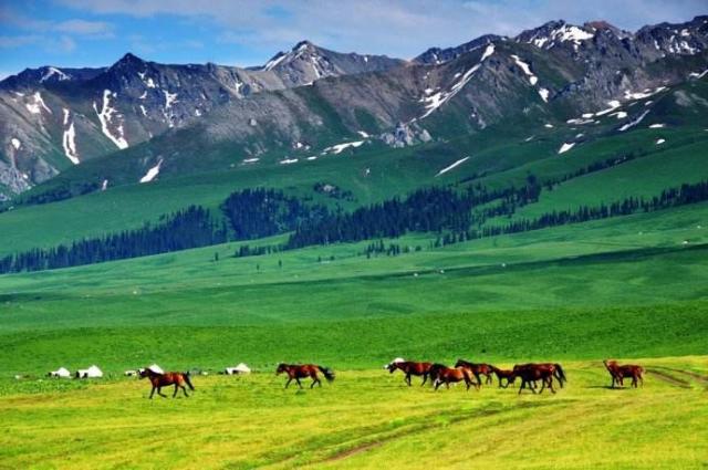 合肥到天柱山的最新火車(chē)時(shí)刻表